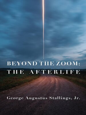 cover image of Beyond the Zoom
